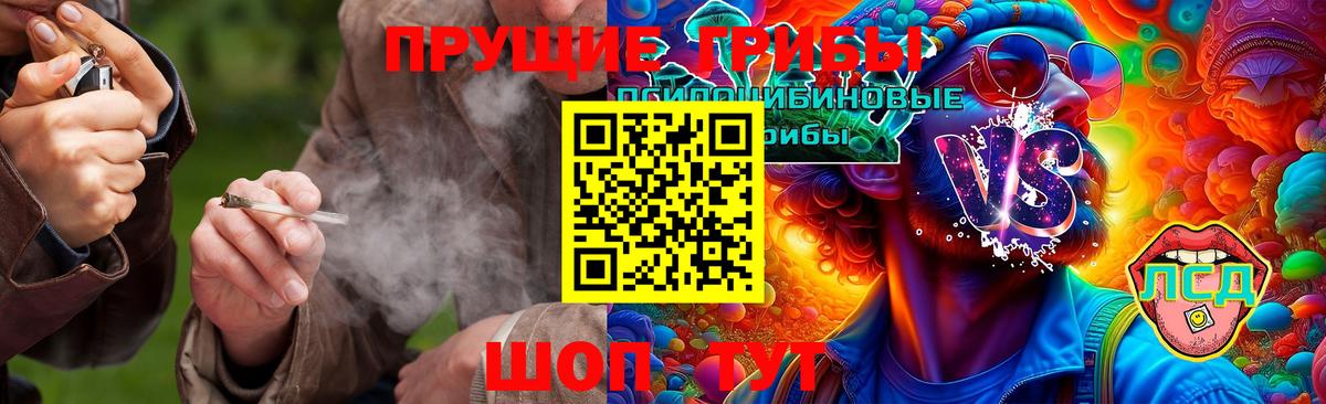 Псилоцибиновые грибы мухоморы Тавда