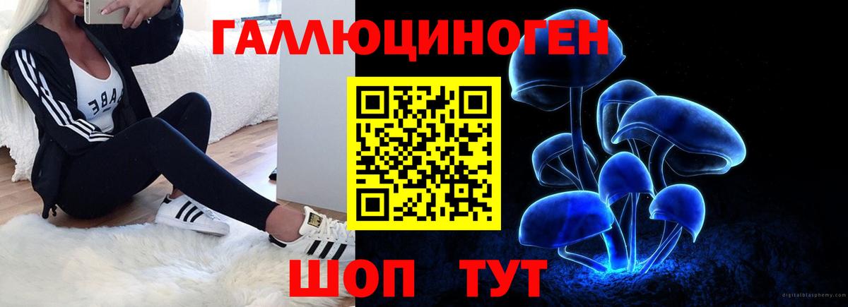 купить  цена  Вход с VPN  Тавда  Псилоцибиновые грибы Psilocybe  Галлюциногенные грибы Psilocybine cubensis 